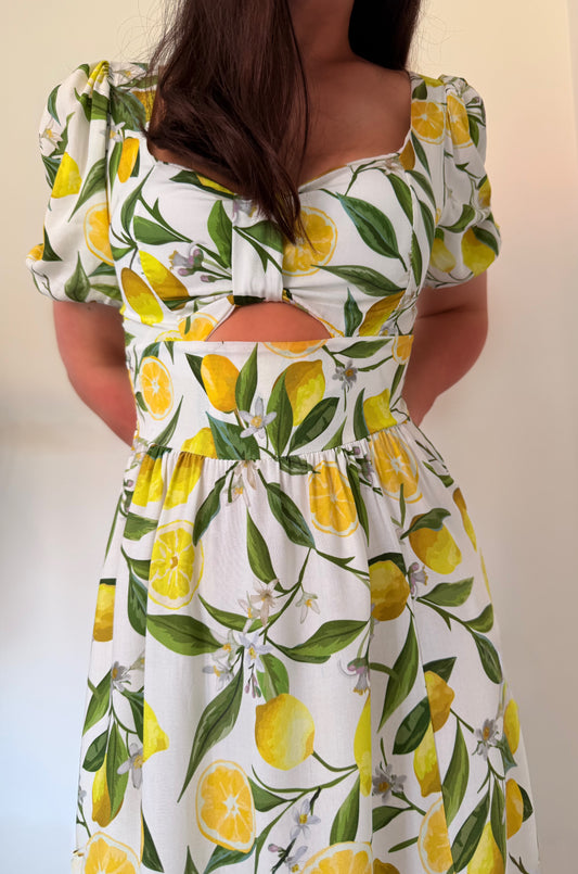 Sophie Maxi Dress in Lemon Print