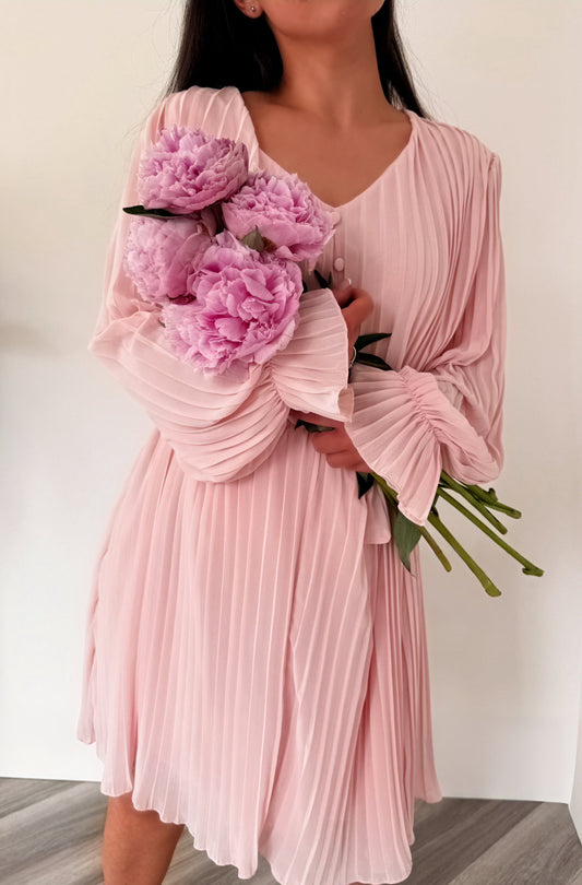 The Rosalie Pleated Dress in Blush Pink